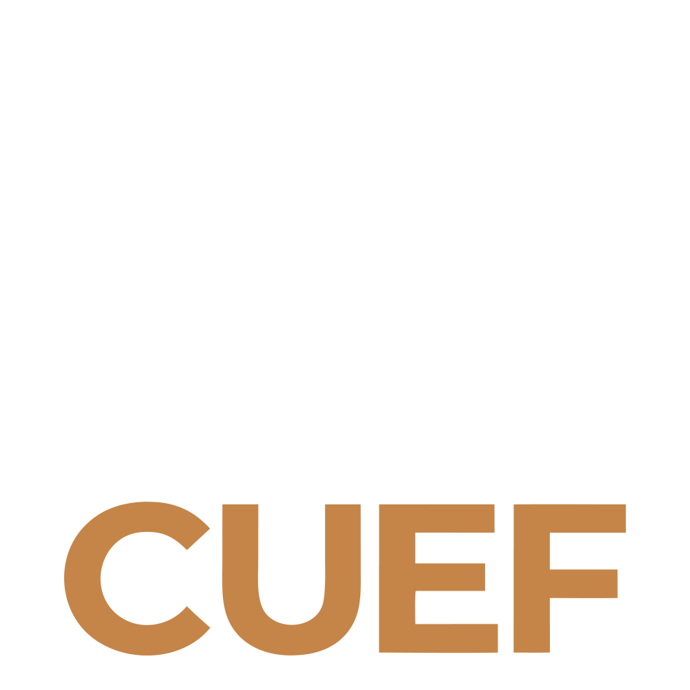 Cairo University Employment Fair